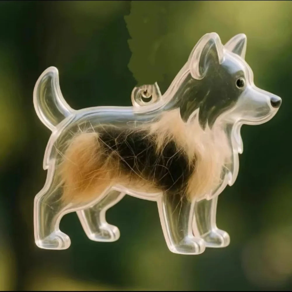 Transparent Dog Fur Storage Capsule Pet Hair Container