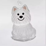 Transparent Dog Fur Storage Capsule Pet Hair Container