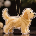 Transparent Dog Fur Storage Capsule Pet Hair Container