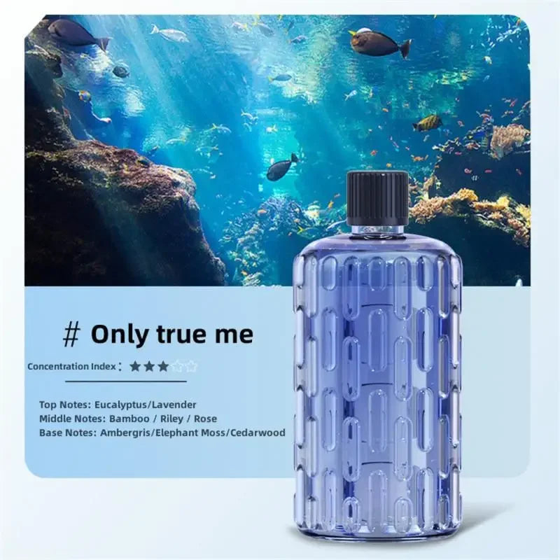 Aroma Diffuser Humidifier Fragrance Essential Oil Aromatherapy Machine